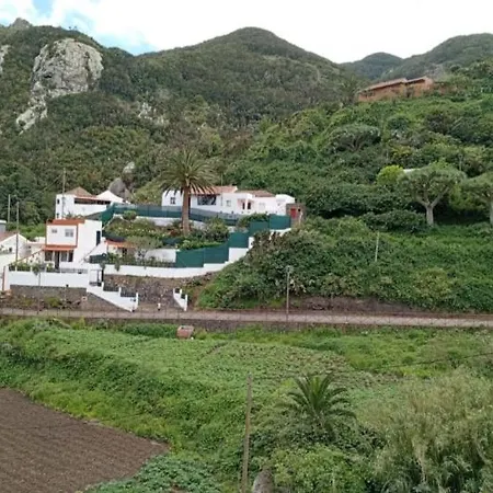 Near Forest Santa Cruz de Tenerife