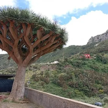 Near Forest Apartment