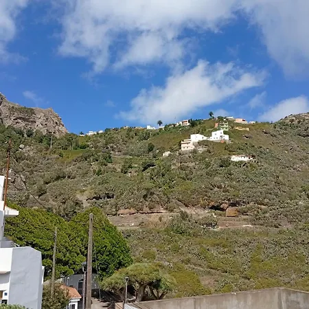 Near Forest Santa Cruz de Tenerife